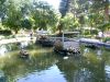 003_San Anton Gardens.jpg